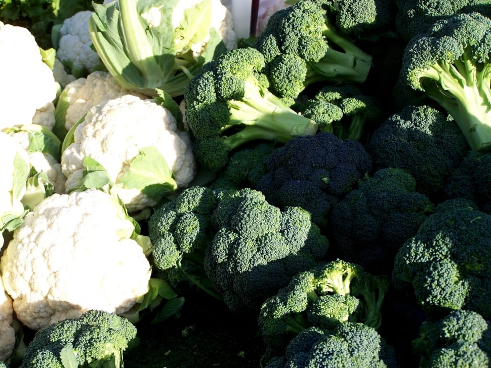 green and white broccoli and cauliflower lot preview