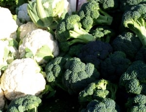 green and white broccoli and cauliflower lot thumbnail