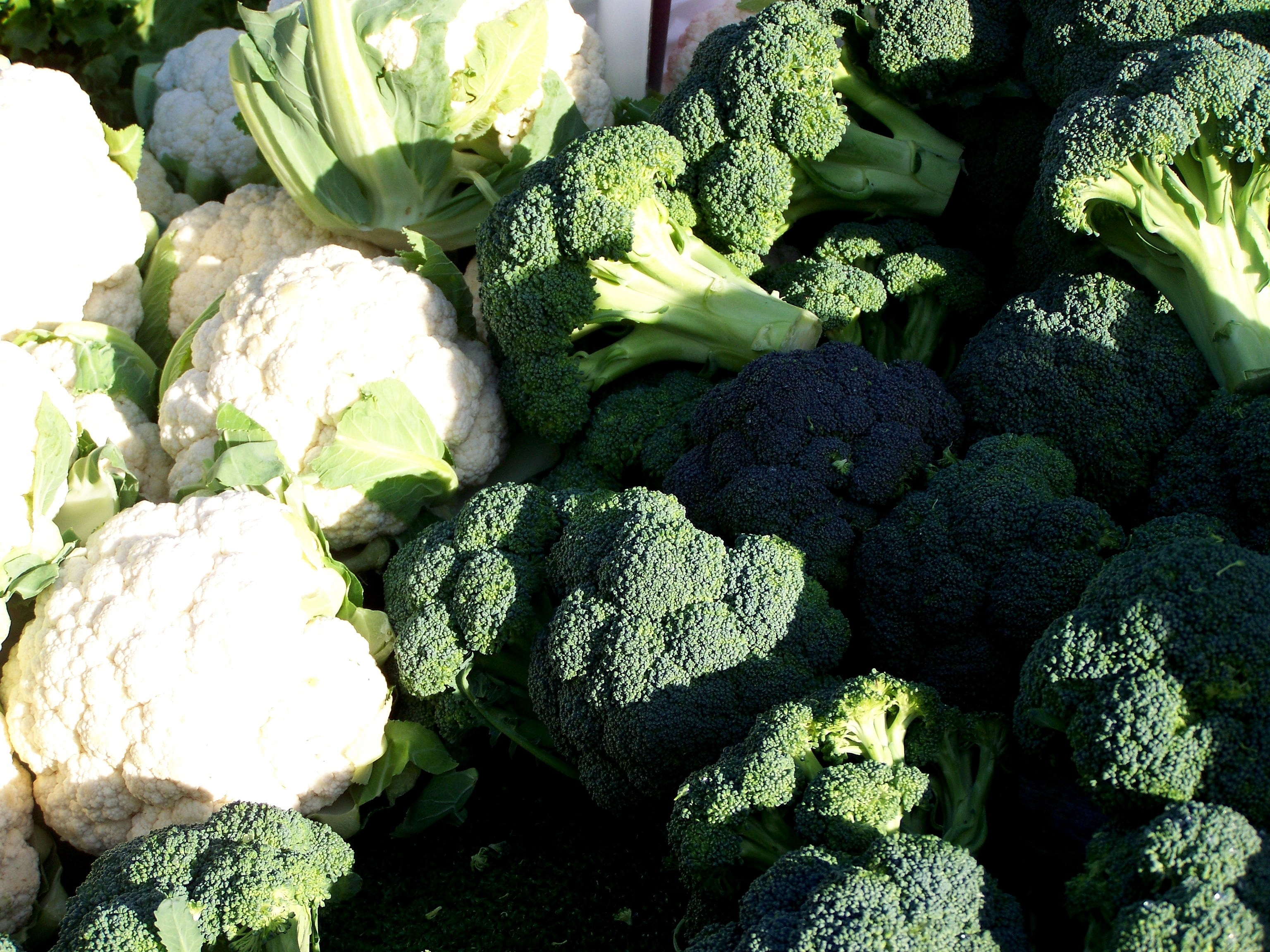 green and white broccoli and cauliflower lot