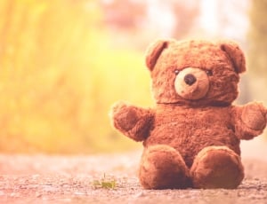 Cute, Furry Teddy Bear, Teddy Bear, teddy bear, toy thumbnail