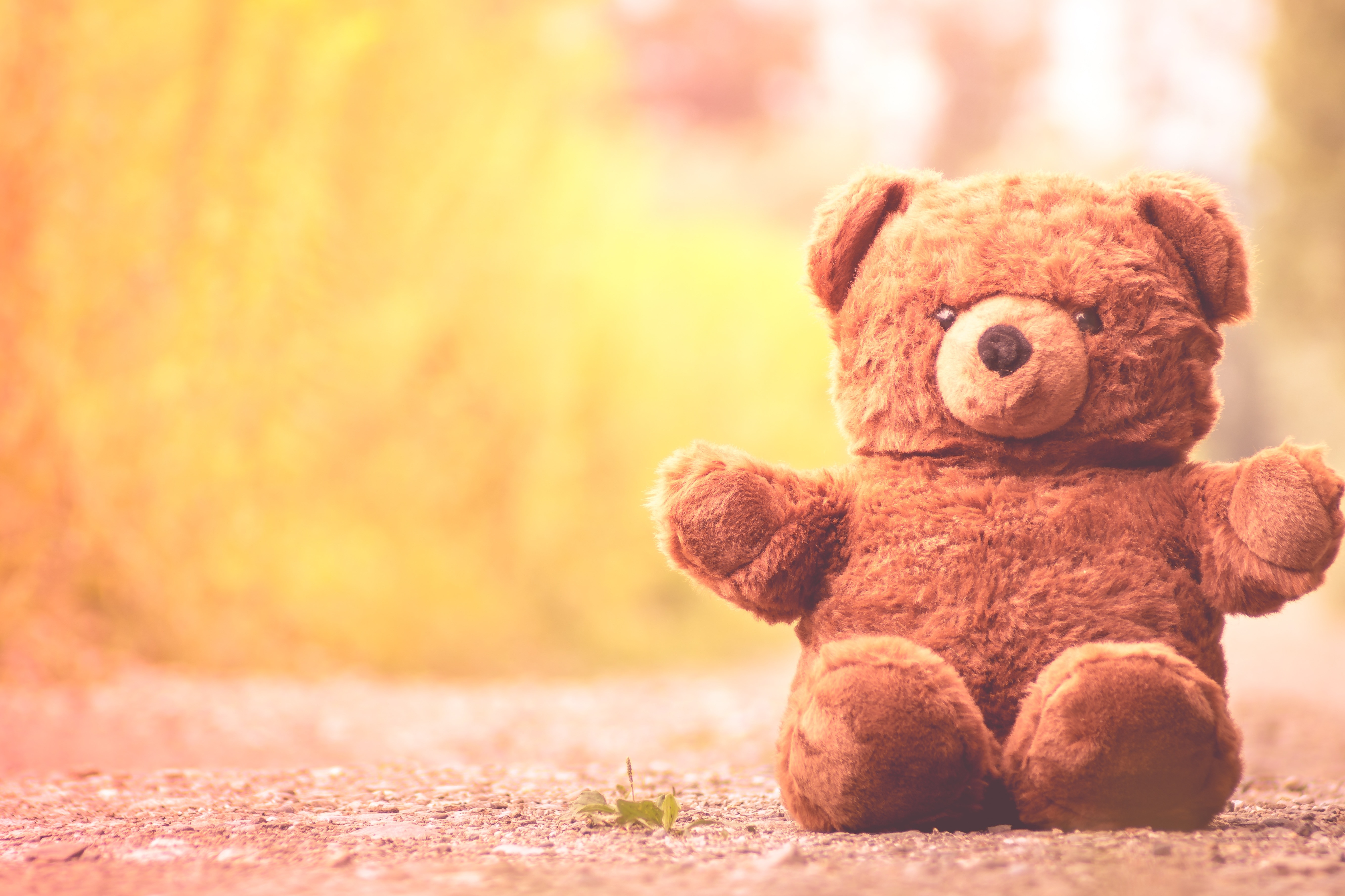 Cute, Furry Teddy Bear, Teddy Bear, teddy bear, toy