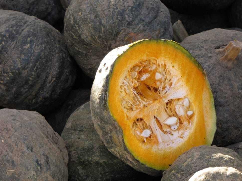 close up photo of half open squash beside of other squash preview