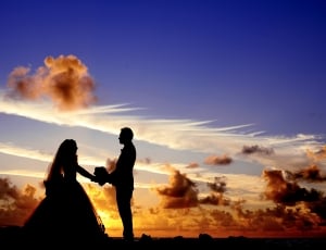 silhouette photo of wedding couples thumbnail