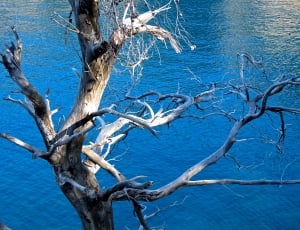 blue body of water thumbnail