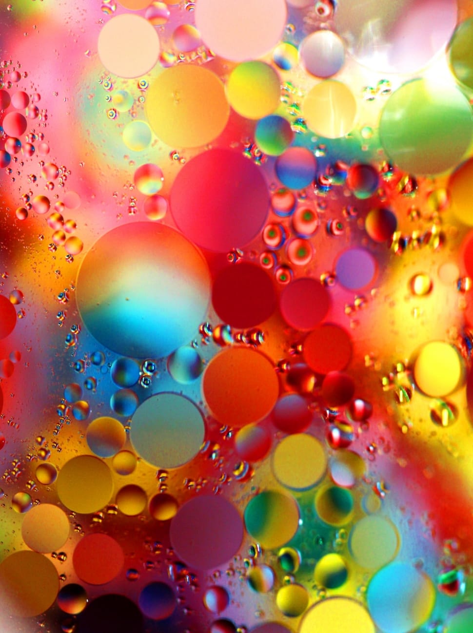 Oil Drops, Floating, Abstract, Macro, multi colored, drop preview