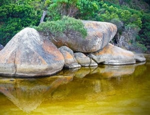 grey rocks near body of water thumbnail