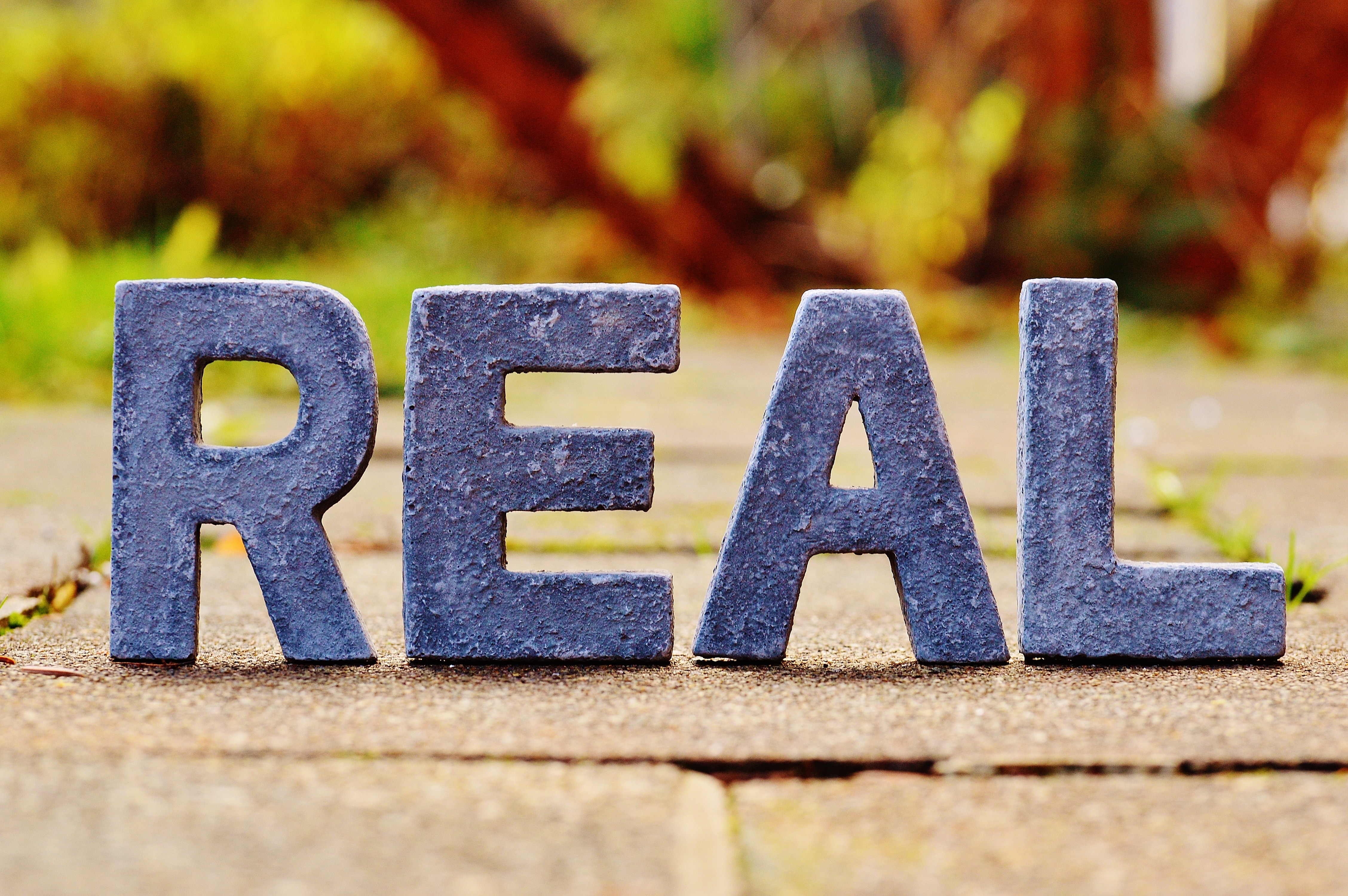 Real, Lettering, Reality, Really, True, education, learning