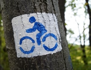 bicycle lane printed tree thumbnail