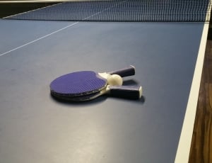 Game, Tennis, Pong, Play, Ping, Ball, sport, net - sports equipment thumbnail