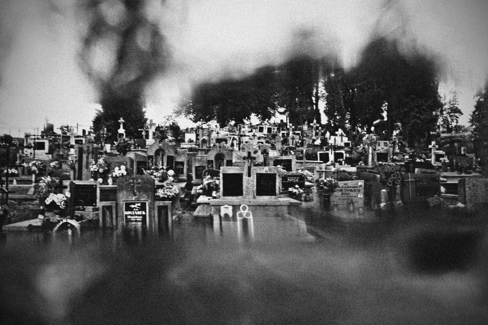 gray scale photo of cemetery preview