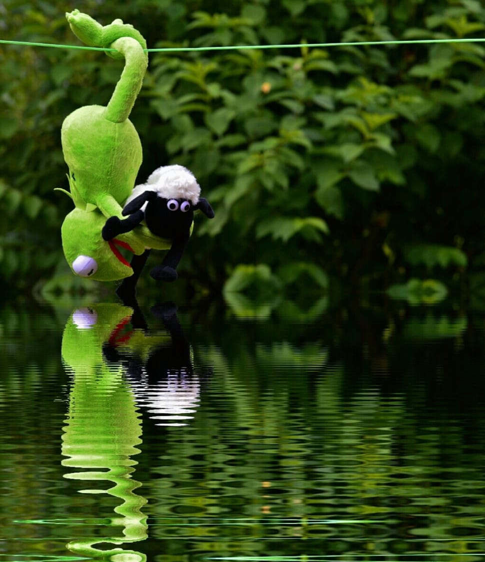 Mirroring, Hang Out, Plush Toys, Water, reflection, one animal preview