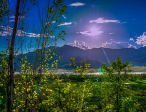 green grass field and mountain during day time \ thumbnail