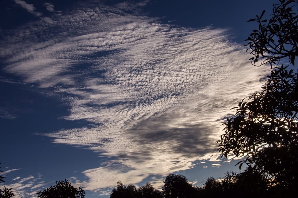 silhouette of trees and cumulonimbus clouds preview
