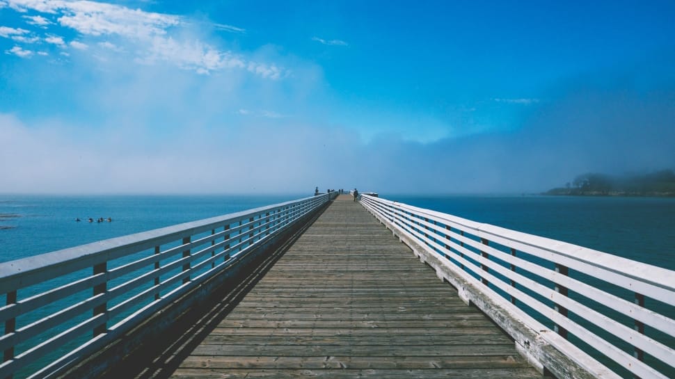 brown and white railings dock preview