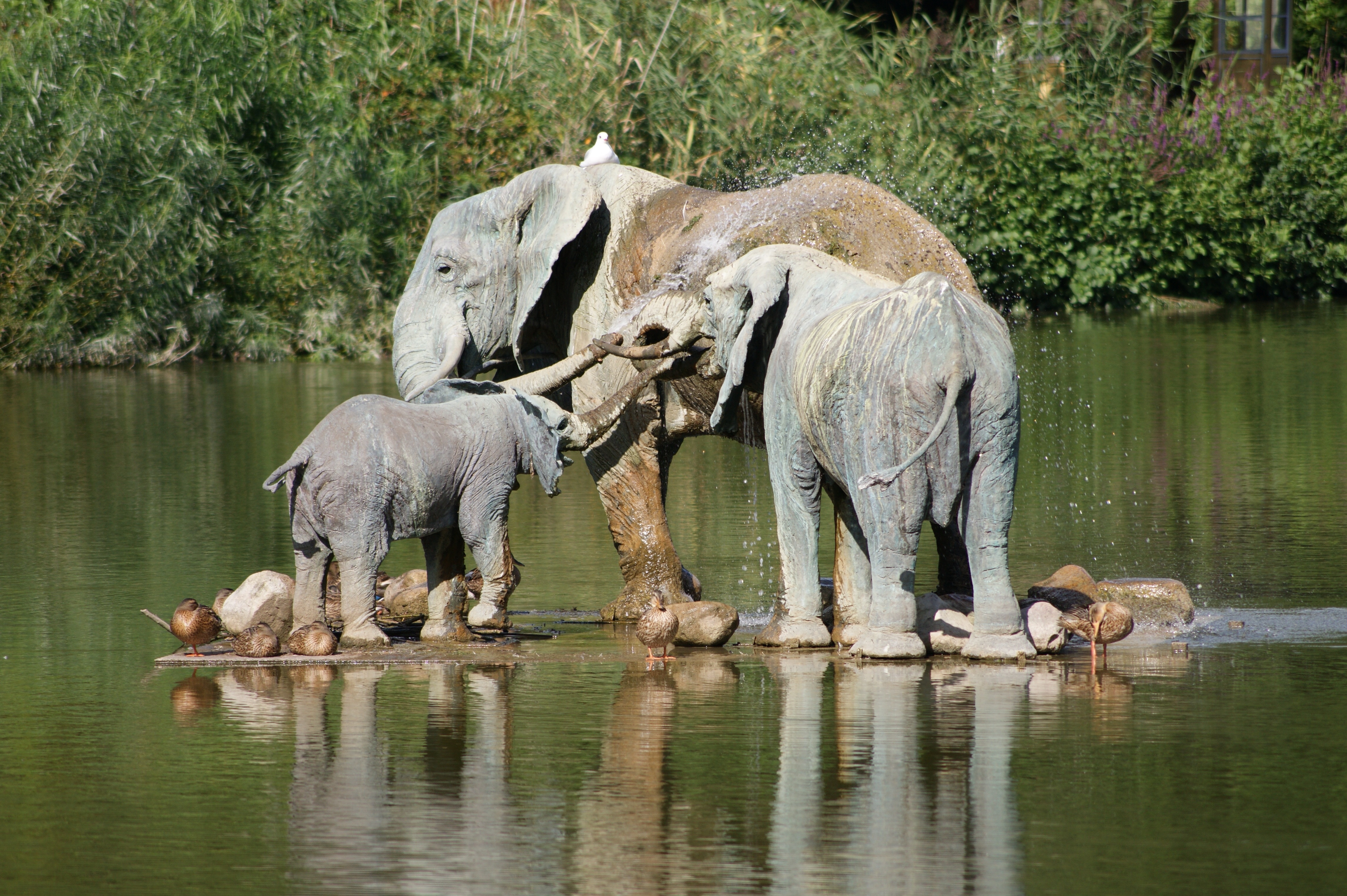 gray elephant and cub