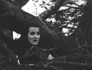 woman wearing long sleeve top climbing tree in grayscale photography thumbnail