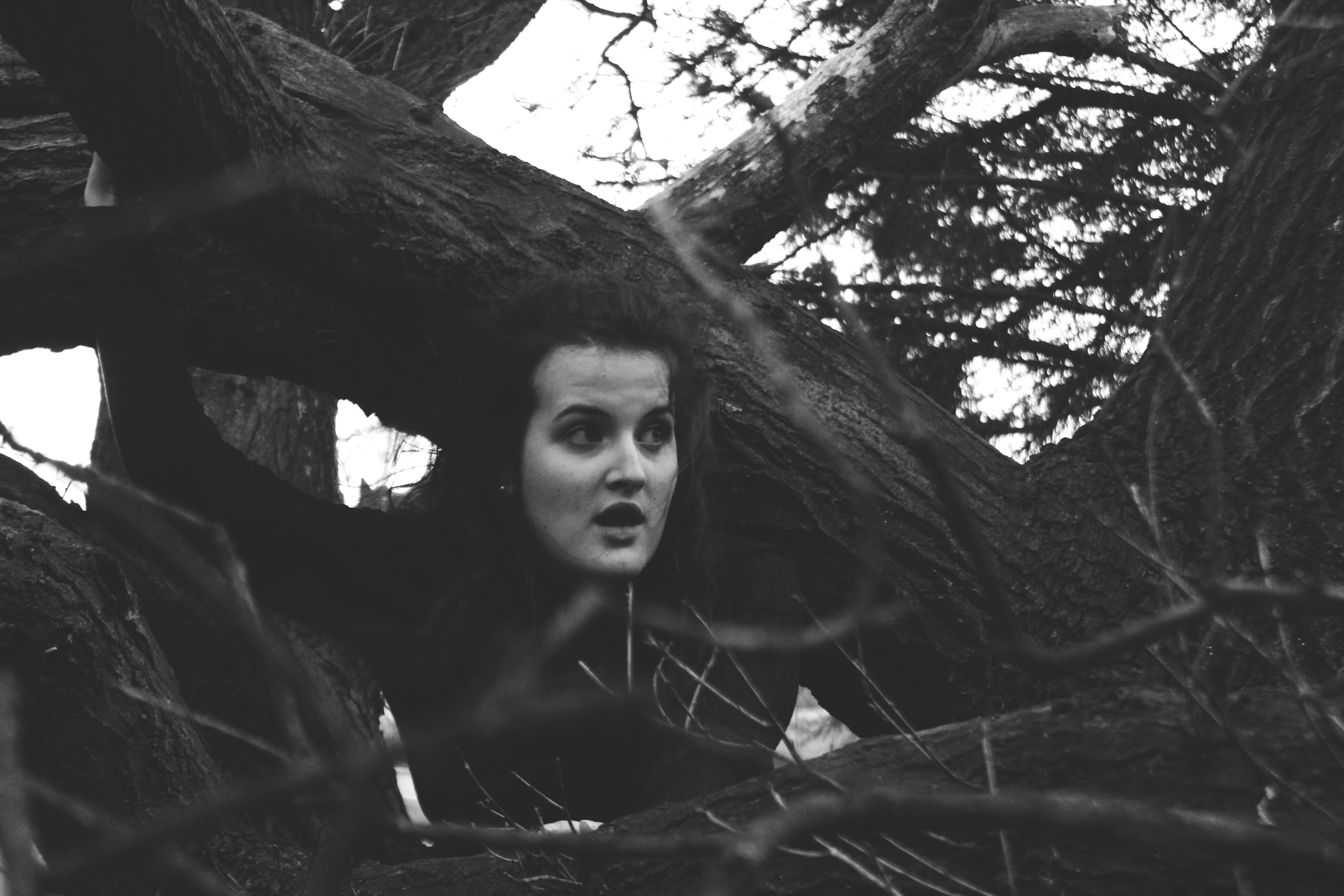 woman wearing long sleeve top climbing tree in grayscale photography