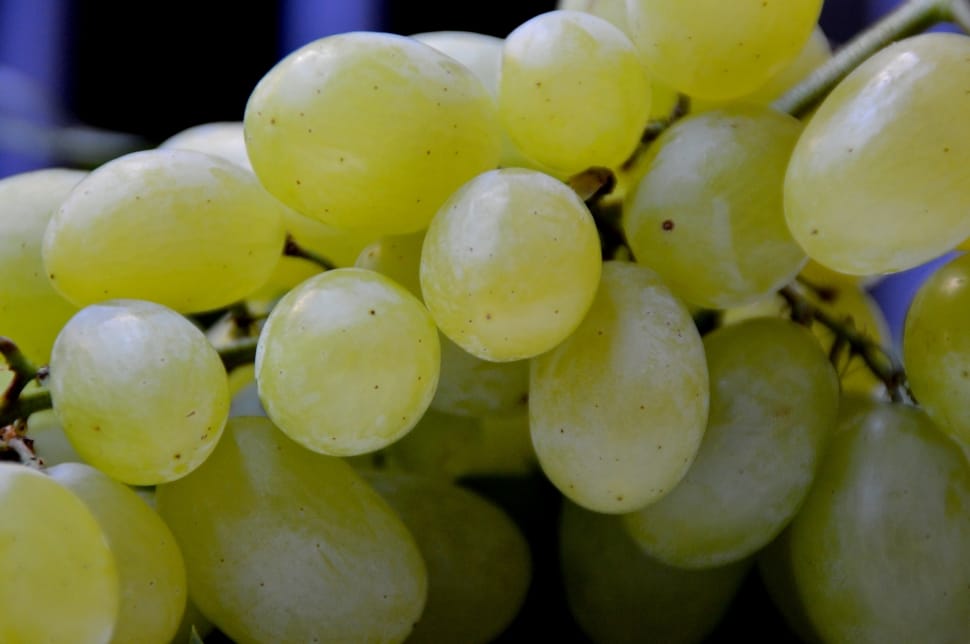 grapes fruit preview
