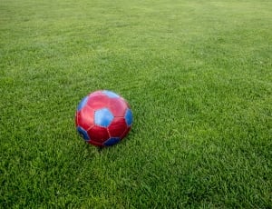 red and blue soccer ball thumbnail