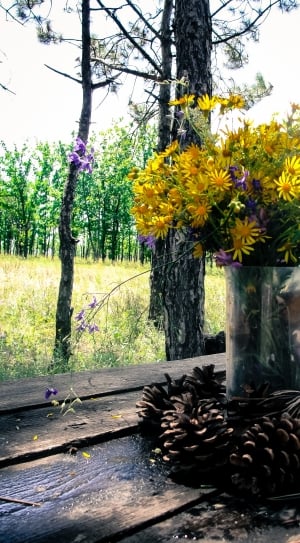 pinecones and yellow petaled flowers on the table thumbnail
