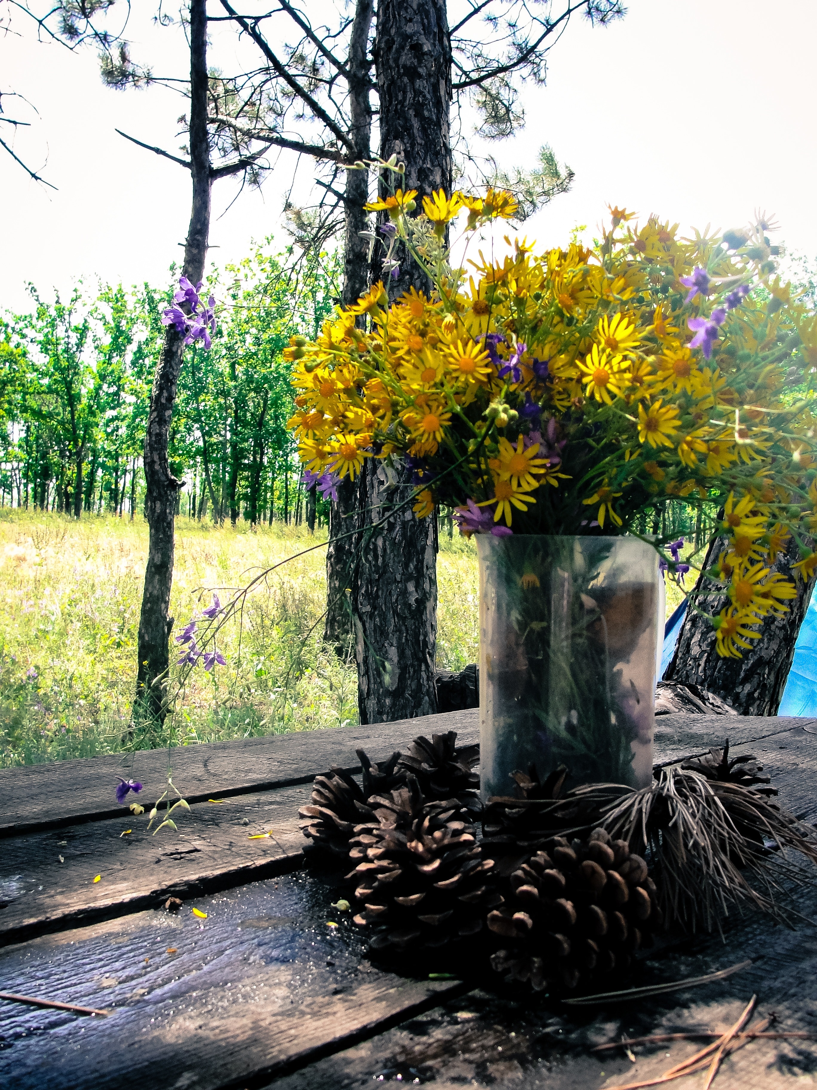 pinecones and yellow petaled flowers on the table