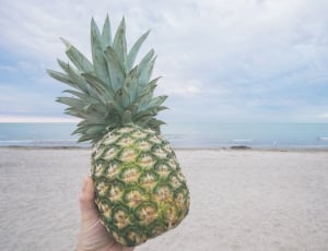 human hand holding pineapple thumbnail