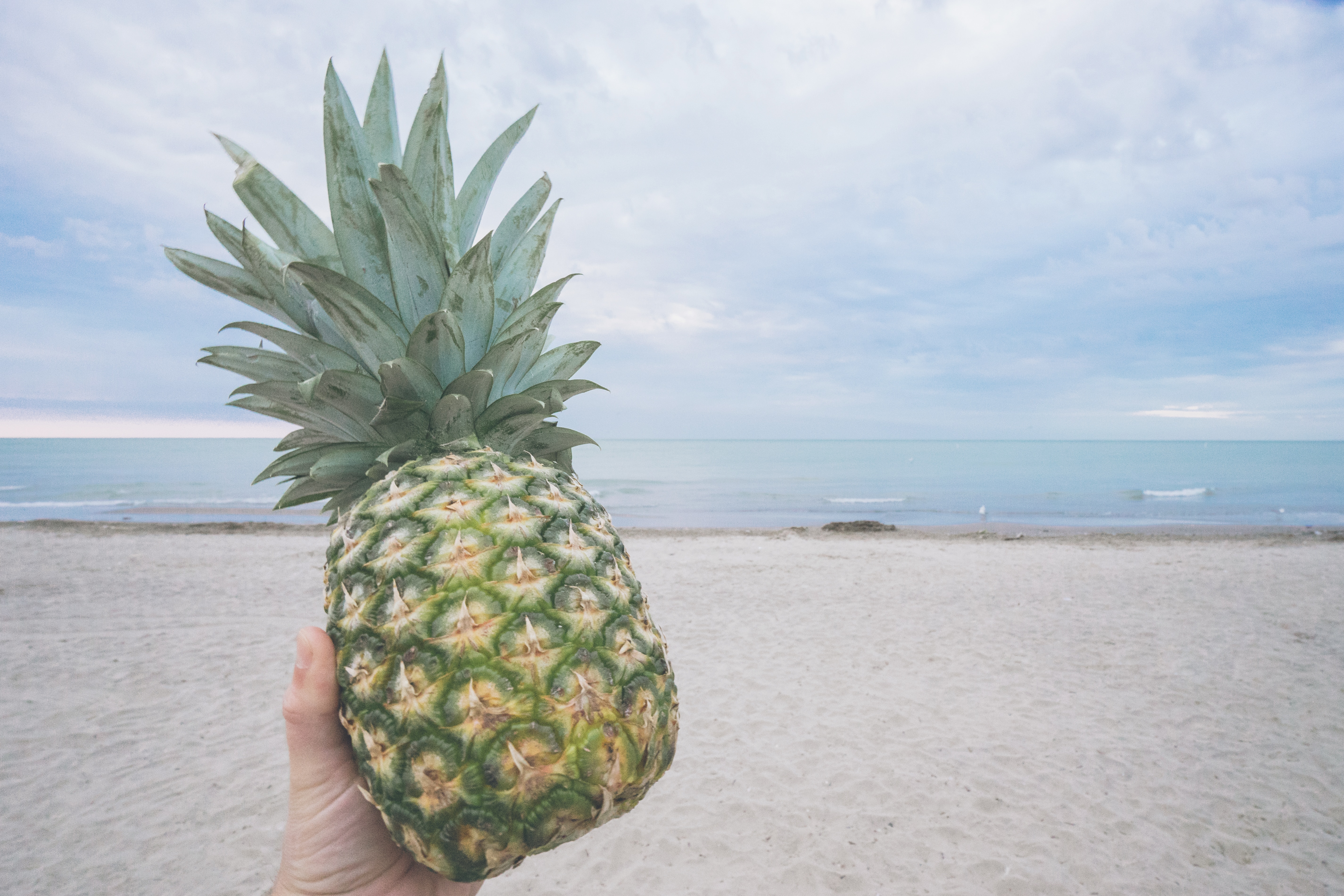 human hand holding pineapple