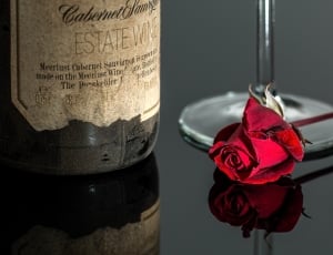 red rose on near clear stemmed glass thumbnail