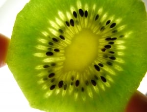 green kiwi slice thumbnail