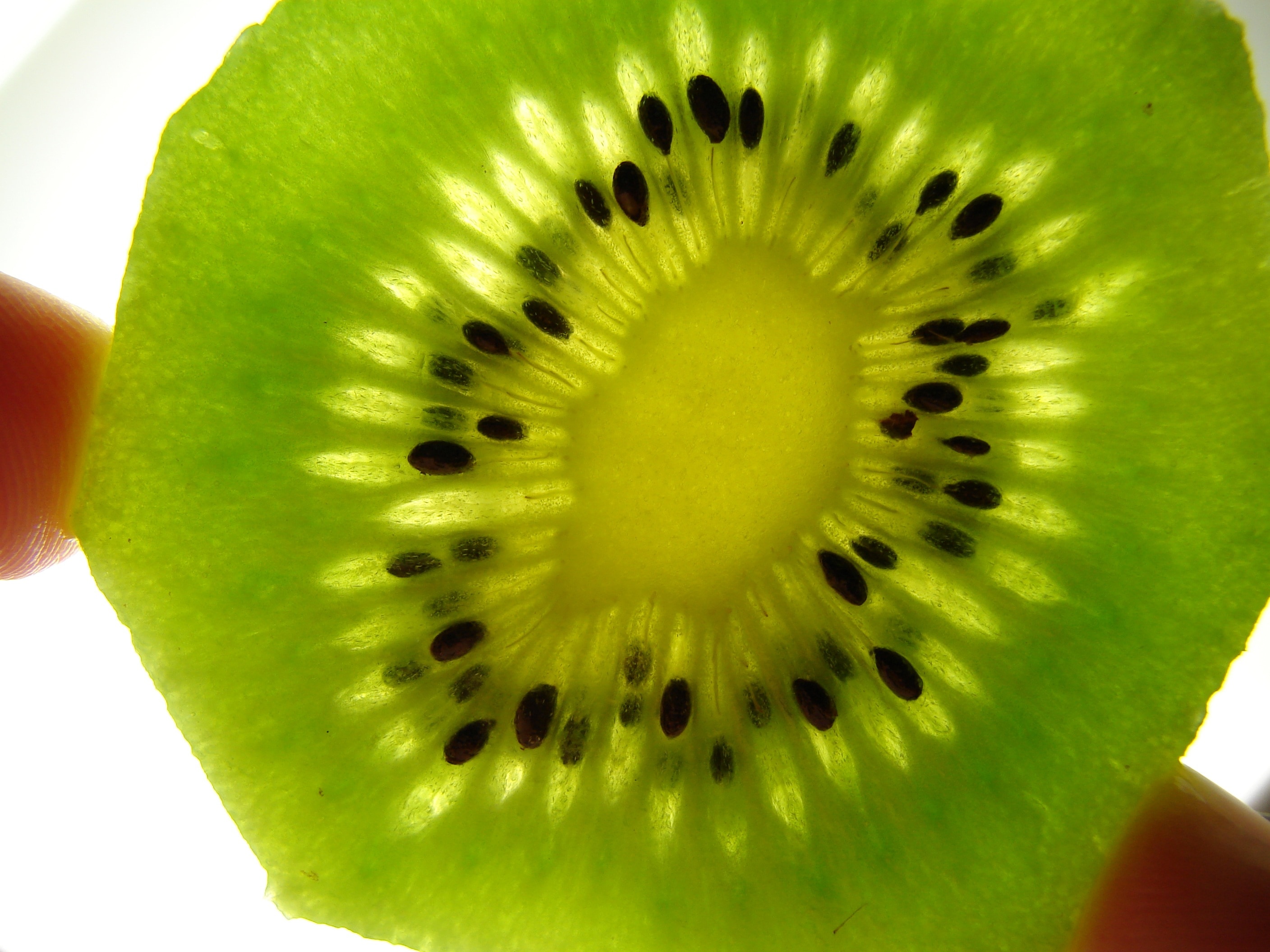green kiwi slice