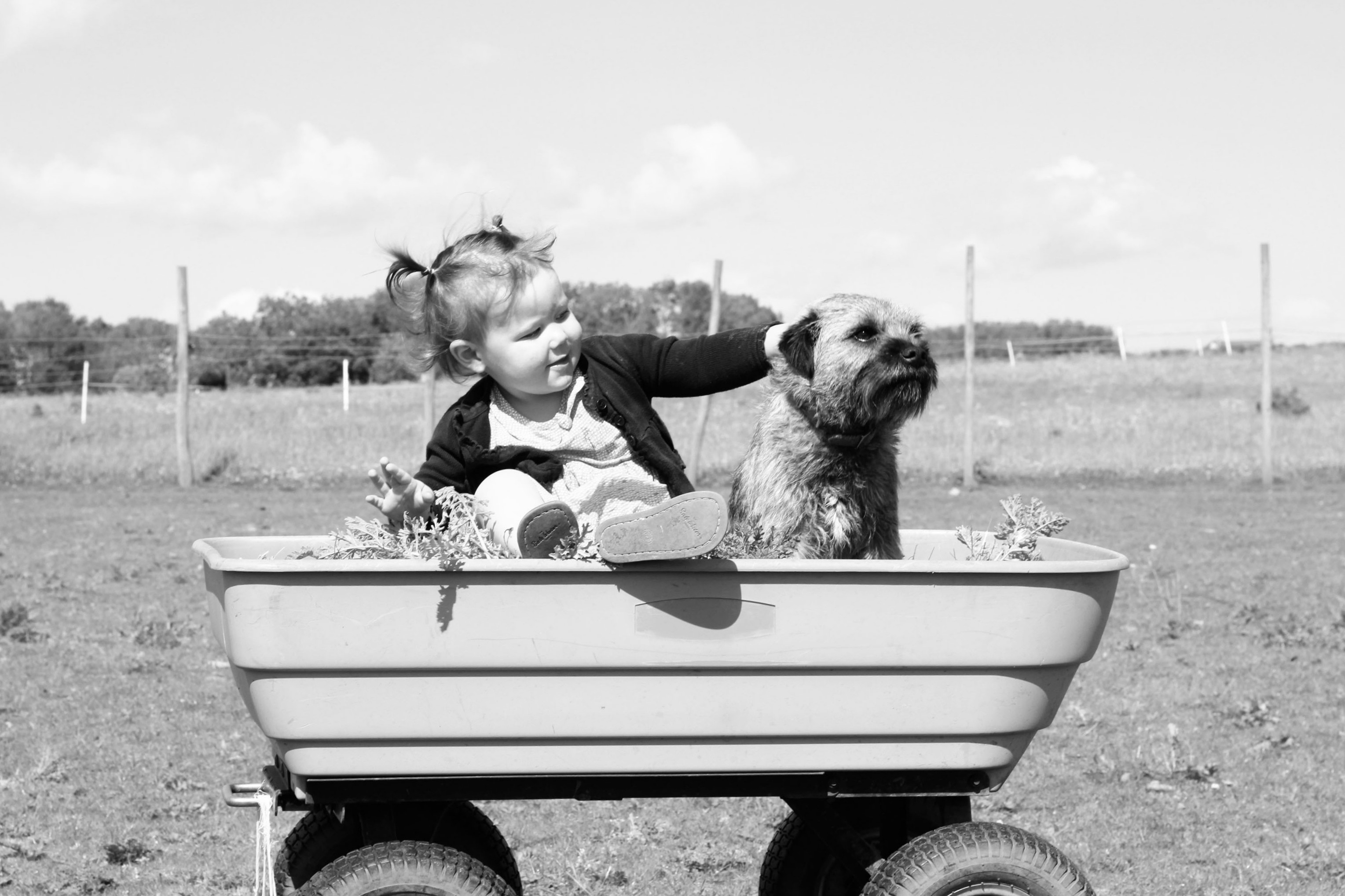 girl sitting on pull along wagon beside dog
