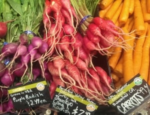 purple radish, shunkyo long radish and carrots display thumbnail