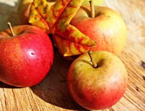 red apple fruit thumbnail