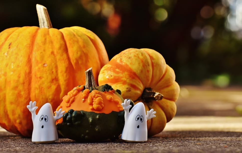 orange pumpkin with ghost figurine preview