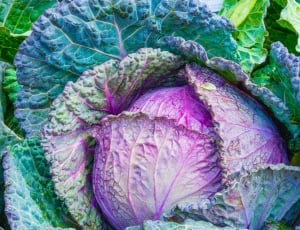 purple and green vegetables thumbnail