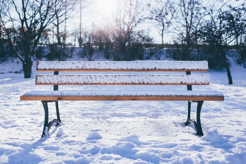 black and brown outdoor bench covered with snow during daytime preview