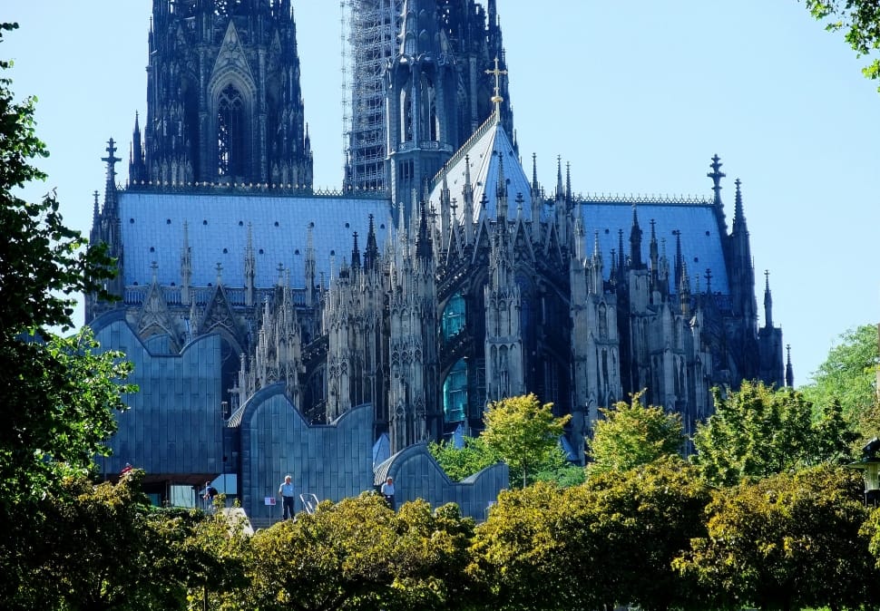 brown and white cologne cathedral preview