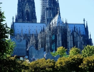 brown and white cologne cathedral thumbnail