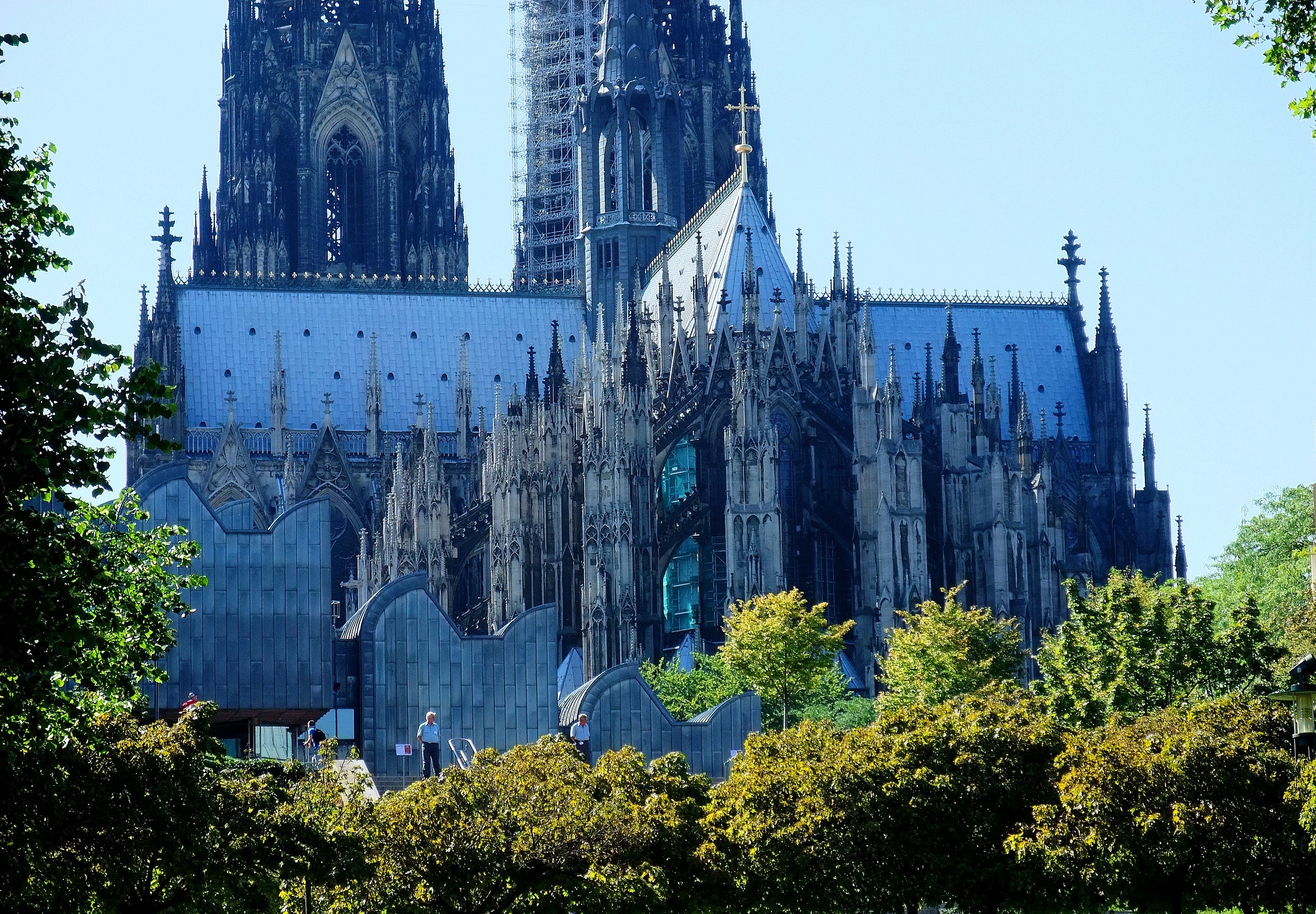brown and white cologne cathedral