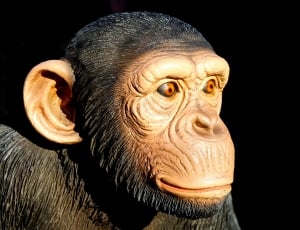 monkey figurine thumbnail