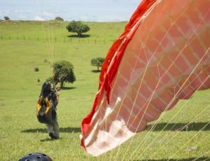 man landed with a parachute on green grass field thumbnail