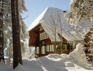 brown wooden house surrounded by snow thumbnail