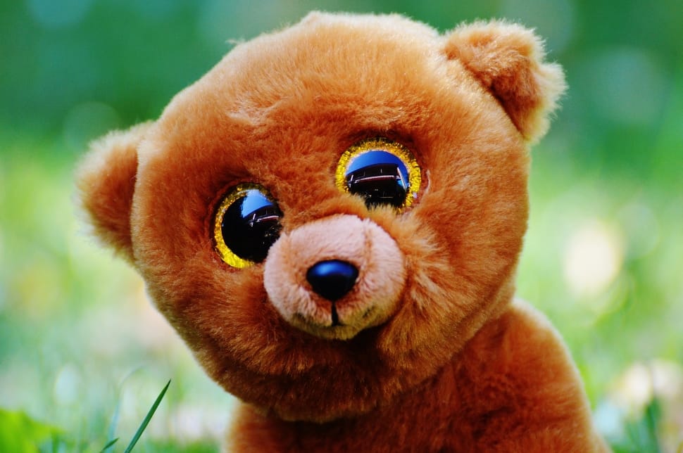Stuffed Animal, Teddy Bear, Glitter Eyes, dog, one animal preview