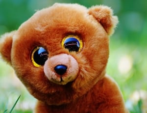 Stuffed Animal, Teddy Bear, Glitter Eyes, dog, one animal thumbnail