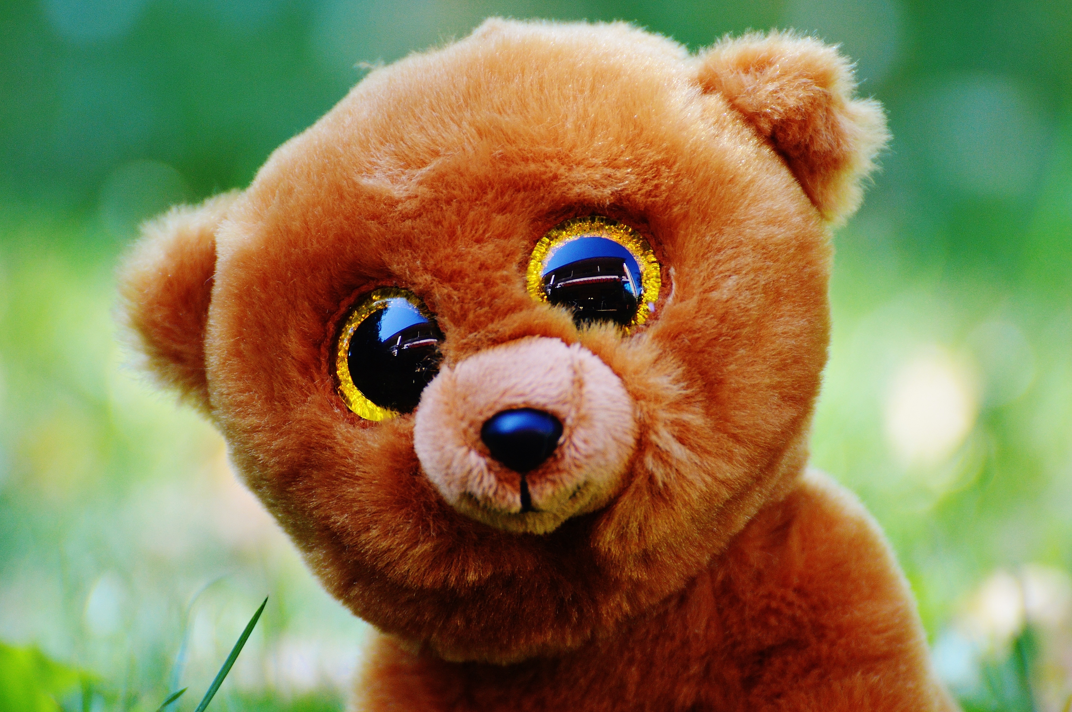 Stuffed Animal, Teddy Bear, Glitter Eyes, dog, one animal