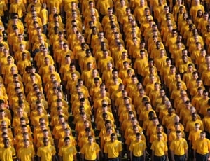 group of people wearing yellow shirt in formation thumbnail