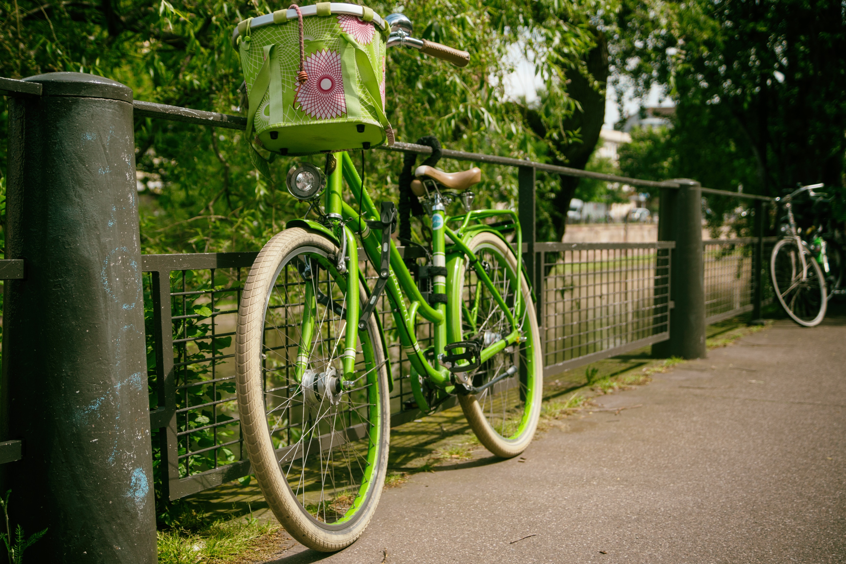 green beach cruiser bicycle  on green railings