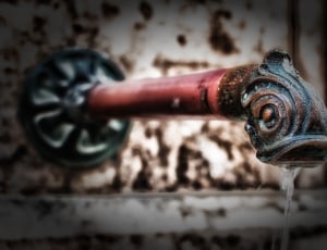 red and brown fish style faucet thumbnail