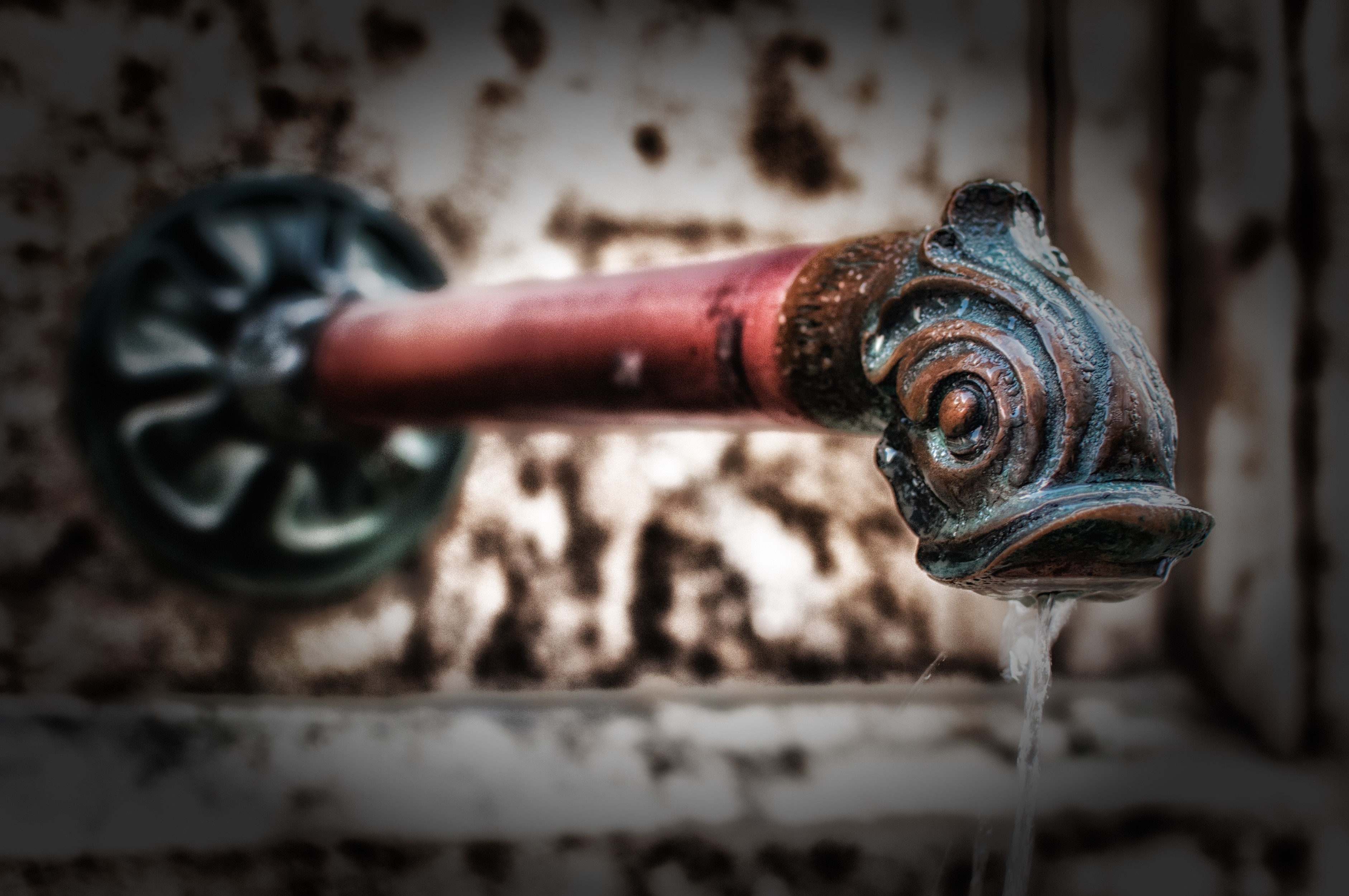 red and brown fish style faucet