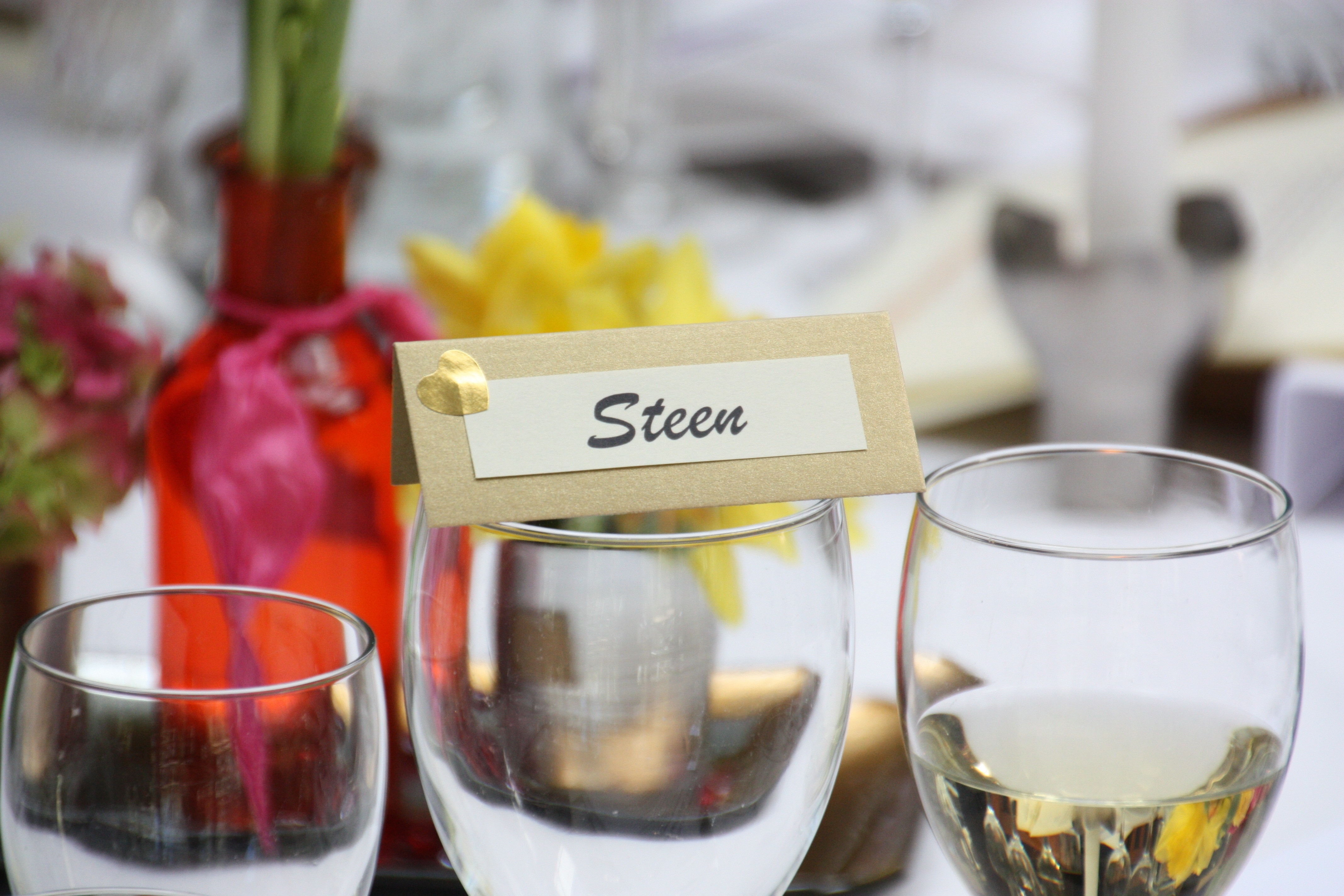 Steen labeled 3 glass cups